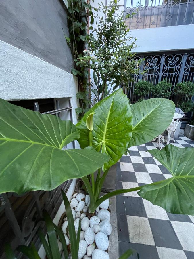Bed and Breakfast Le Petit Palais Буенос-Айрес Екстер'єр фото